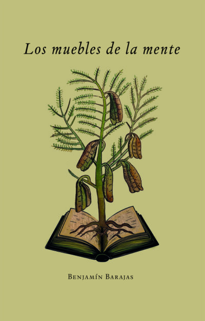 Los muebles de la mente