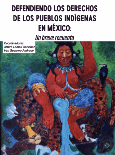 Defendiendo los derechos de los pueblos indígenas en México: un breve  recuento coordinadores