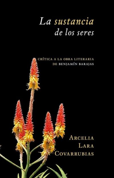 La sustancia de los seres